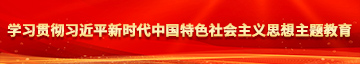 大屌操白屄在线看学习贯彻习近平新时代中国特色社会主义思想主题教育